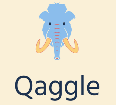 qaggle (company)